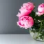 Placeholder: photograph of peonies in a water bowl, glass bowl