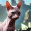 Placeholder: tiny cute hairless cat smiling in front of a destroyed city