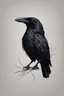 Placeholder: portrait of a single black raven. simple drawing style. a template for beginners of drawing