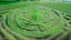 Placeholder: green crop circles showing glyphs from aliens