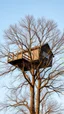 Placeholder: Trees without leaves and on the top of it a tree house