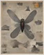 Placeholder: [A FLY HAS FALLEN IN THE OINTMENT], reality has no authority here, shapes before subjects, perspective replaced by importance, hierarchy overrides anatomy, shared symbolic plane, giant shape masses, tiny fragments, symbolic scale, asymmetry, negative space, one element must violate the visual order, Byzantine symbolic scale, torn-paper modernist folk-art collage, bright upper-range mid-high-key palette, square 1:1. ChatGPT