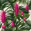 Placeholder: A bush of palm leaves with dragon fruit on a light background to remove