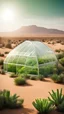 Placeholder: Greenhouse effect, green space, desert