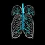 Placeholder: Lungs, Logo, 4k, high resolution