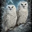 Placeholder: snow OWL