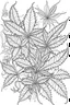 Placeholder: outline art for stoners coloring pages with marajuana leaves, white background, sketch style, fully body, only use outline, mandala style, clean line art, white background, no shadows and clear and well outlined