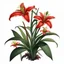 Placeholder: Western Red Lily plant on white background, illustration