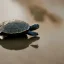 Placeholder: two little turtles get married