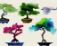 Placeholder: abstract watercolor bonsai tree neutral tones