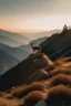 Placeholder: Photograph a lone deer on a mountain peak. Use the golden hour light to create a sense of solitude and achievement