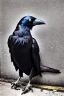 Placeholder: One single mature homeless crow with worn out clothes, sitting in a corner on the street, guitar standing on the left side, Vienna, mourning, perfect iris, model style, hyper realistic, extremely accurate, delicate, extremely detailed, Graphic novel style, wide-angle, open aperture, superfine pencil