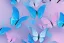 Placeholder: pastel colors, blue, pink, white, butterfly