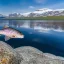 Placeholder:  alaska grayling, thymallus arcticus