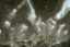 Placeholder: A futuristic alien city, with balconies, verandas, many arches, bridges, spires, paths, trees, dense foliage, spanish moss, ivy, river, blue sky, white clouds