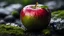 Placeholder: Close up of an apple fruit on a wet rock,,moss,high details,dark place