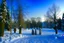 Placeholder: Winter trees, Josephine Wall, Catherine Welz Stein, Elegant, fantasy, intricate, very attractive, beautiful, watercolor, mystic, art deco, Yacek Yerka, Deep, Dee Nickerson, funkelnd, very deep, glitzernder, Schnee, spirit in the sky