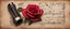 Placeholder: Hyper realistic red rose on a vintage paper with harmonica instrument & musical notes