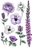 Placeholder: Stylized, peony, rose, lilac, hibiscus, lavender, poppy, and snapdragon Flowers outlined with various thicknesses of Graphite Pencils filled in with pastel PItt Pencils