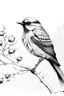 Placeholder: Ink drawing of small furry bird perched on a branch with clusters of round berries, snow falling, fine lines, minimalistic, realistic details, black and white, negative space,