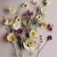 Placeholder: delicate arrangement of pressed flowers, beautiful composition, aesthetic layout