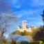 Placeholder: château d'Amboise soleil ciel bleu parc fleuri arbres