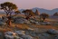 Placeholder: Dry trees, night, arid land, vegetations, rocks, little river, mountains