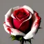 Placeholder: A white rose bleeding red blood from its stem