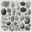 Placeholder: botany book page with fruits and vegetables illustration in black and white