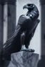 Placeholder: storm crow on marble statue, 4 k, trending art, depth of field, high detail, high contrast