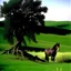 Placeholder: Nebraska 1997 Wild Horse Hill Photo, FNAF Purple guy in the foreground behind a tree.