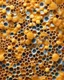 Placeholder: honeycombs and honey splashes 3d background