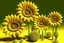 Placeholder: 3d,sunflowers,patterns,minimalism,dada