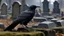 Placeholder: The lone crow cawed over the forgotten graveyard