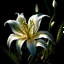 Placeholder: close up of breathtaking gorgeous glowing bioluminescent white ghost lily flower, at night, golden magic, wonderful, intricate, extremely detailed, beautiful