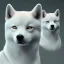 Placeholder: albino shiba inu, ethereal glowing aura, Orion contellation
