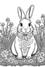 Placeholder: rabbit in the garden.centered flat minimalistic black and white high contrast line drawing, coloring book style, {prompt}, (white sky, white clouds,mandala style, white hair,white objects, white clothing, white fur, white skin, white terrain, white scales), blank white background.