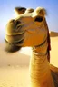 Placeholder: camel with human face