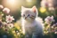 Placeholder: antropomorph kitten flower in a flowergarden in sunshine, ethereal, cinematic postprocessing