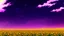 Placeholder: purple sky full of stars, sunflower field, anime, high res, makoto shinkai