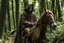 Placeholder: hooded monk on horseback in the forest