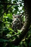 Placeholder: Photo of an owl in a tree