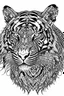 Placeholder: tiger face tattoo, coloring page, clean line art, adults drawing book, Black and white only, crisp black lines, sharp lines, coloring page for adults, black and white picture, lots of details,