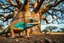 Placeholder: Hyperrealistic portrait of exotic gecko with rainbow iridescent scales in turquoise, orange, gold tones, dark sapphire eyes, walking under majestic baobab tree canopy, African savanna setting, dramatic lighting, award-winning wildlife photography, extremely detailed textures --ar 4:5 --v 7 --style raw --q 2