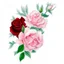 Placeholder: style INK, roses high contrast