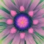 Placeholder: microphotography top-down view of a multicolored complex flower, high definition, detail, HD, 8k, realistic, 3d rendering, blender, photography, fisheye, bulge, tilt shift blur, microbiology