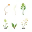 Placeholder: concept art of six low poly stylized alien dry single leaf plant on a neutral background. Strange fictional extraterrestrial flora with unusual shapes