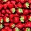 Placeholder: Bigstrawberrys