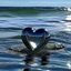 Placeholder: chrome hearrt in the ocean