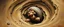 Placeholder: master oil painting by Rembrandt, good afternoon clay golem peeking out of a sand twister whirlwind cocoon, emo cartoon